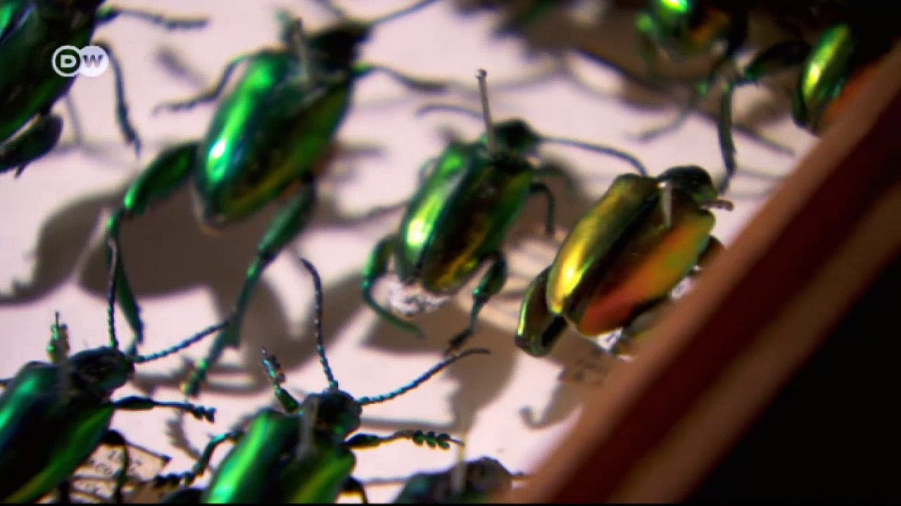 Euromaxx: Highlights der Woche | Euromaxx