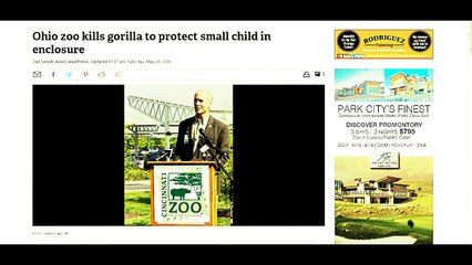 SEE IT: Ohio zoo kills gorilla to protect small child in enclosure!