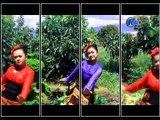 lagu kerinci-purajo nian idak-iin MD