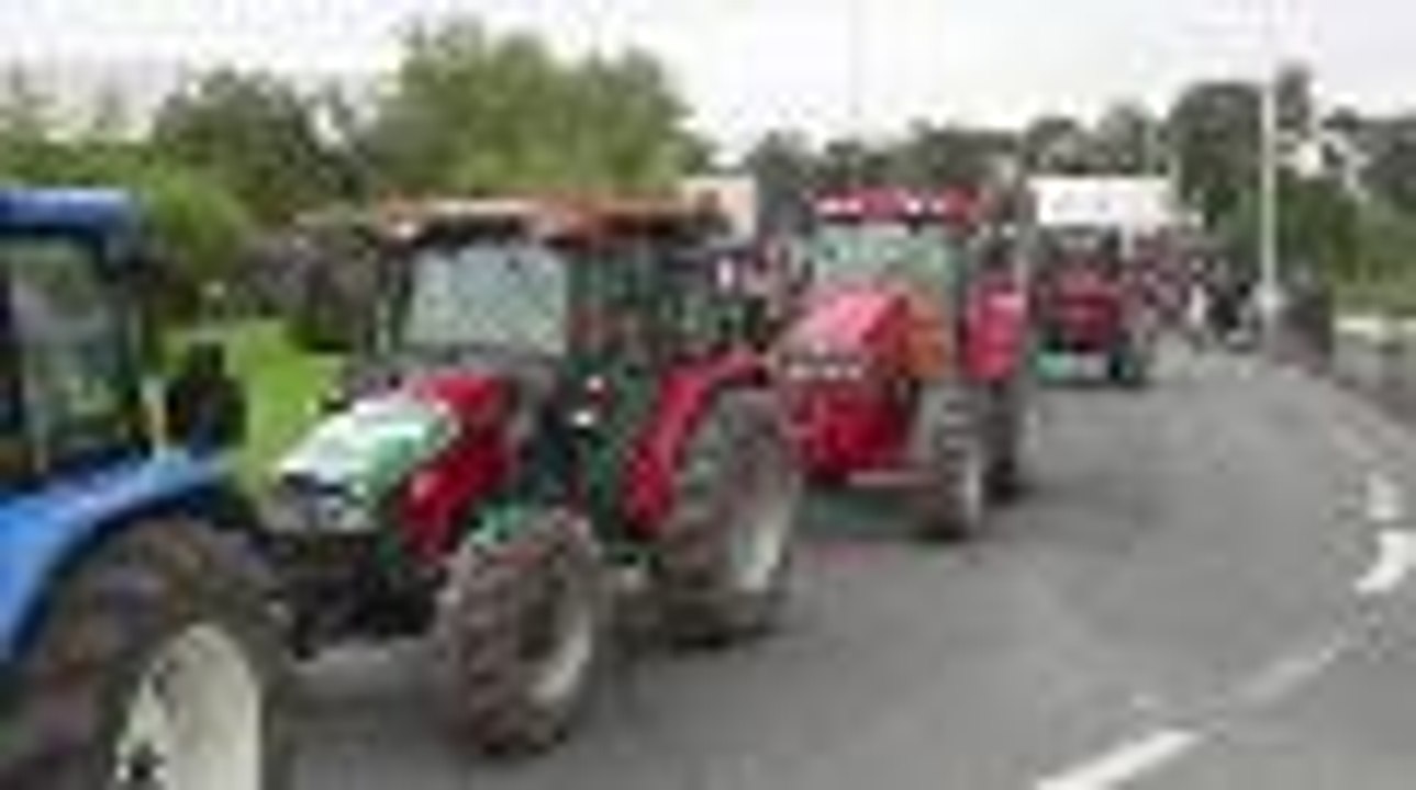 "Non à la nouvelle ligne ferroviaire" : important cortège des anti-LGV à Bayonne