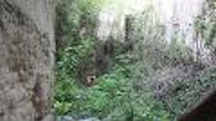 Tuerie de Chevaline : les al-Hilli propriétaires en Gironde