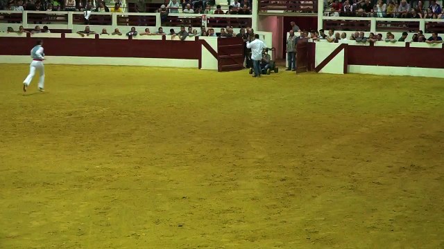 27.05.16 Samadet Dal Maynus Ecole Taurine FFCL Présentation Promo 2016 Les Juniors
