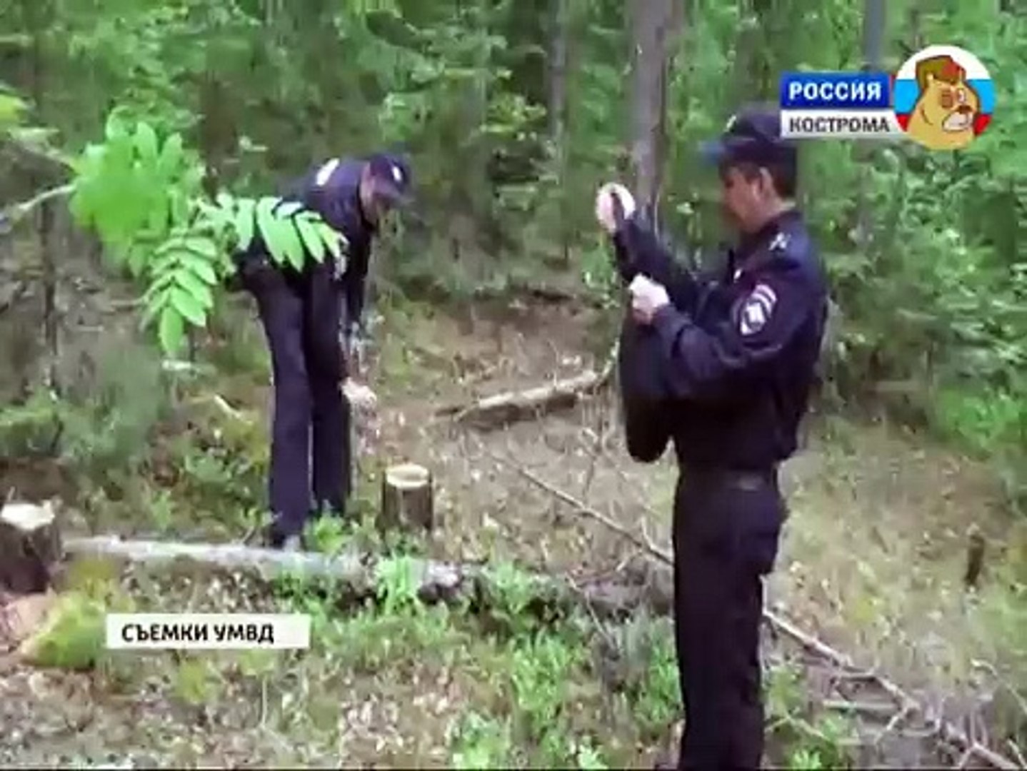 ⁣Как спастись от апокалипсиса и коллекторов
