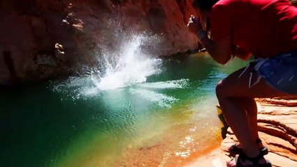 Epic Frisbee Trick Shot Adventure!