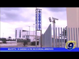 Molfetta  | In giardino 2 kg di droga, arrestato