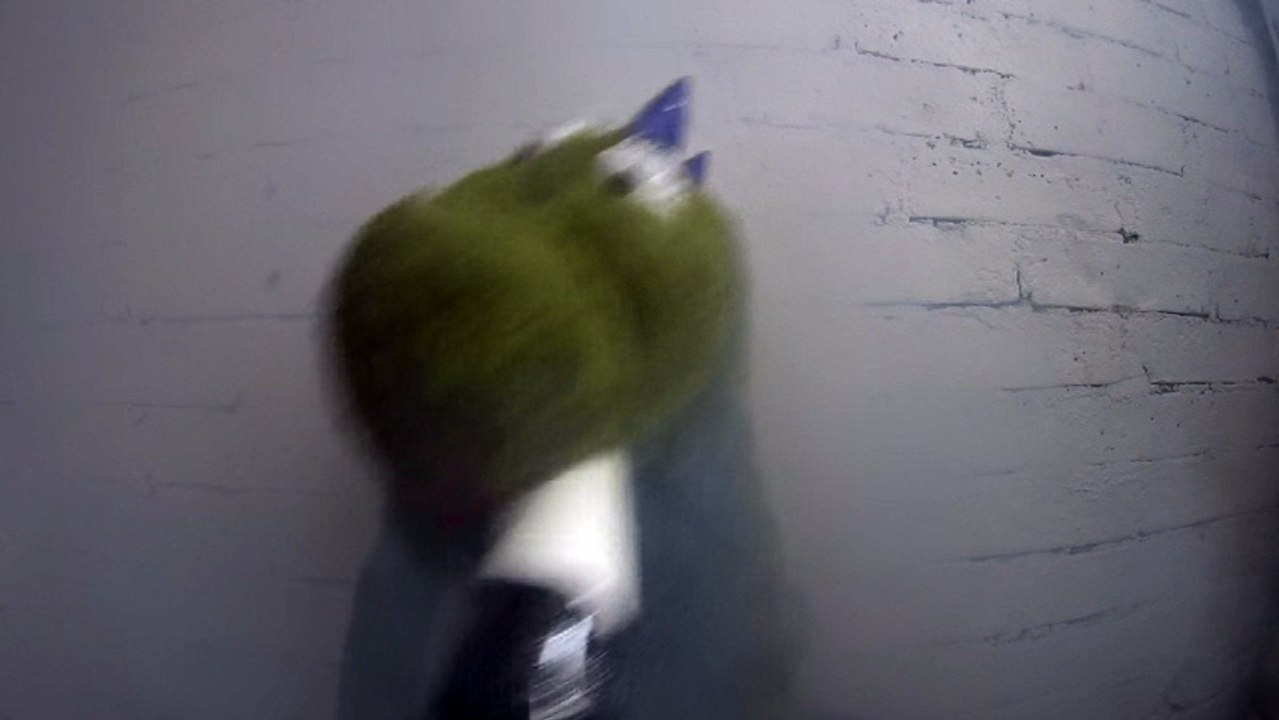 Gunnar's smoking weed