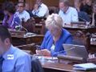 Le nom du futur pont en débat au conseil municipal de Bordeaux