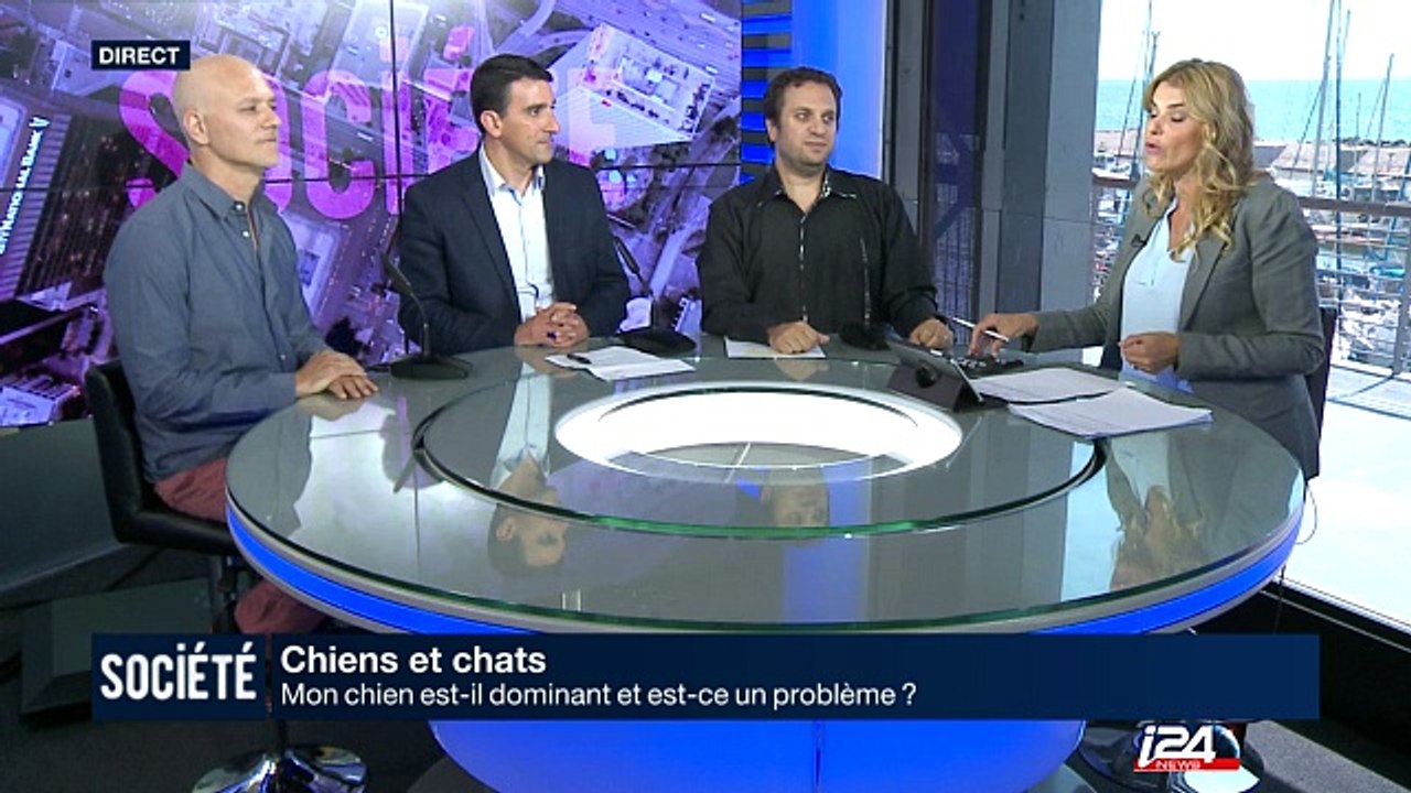 Mon chien est-il dominant et est-ce un problème?