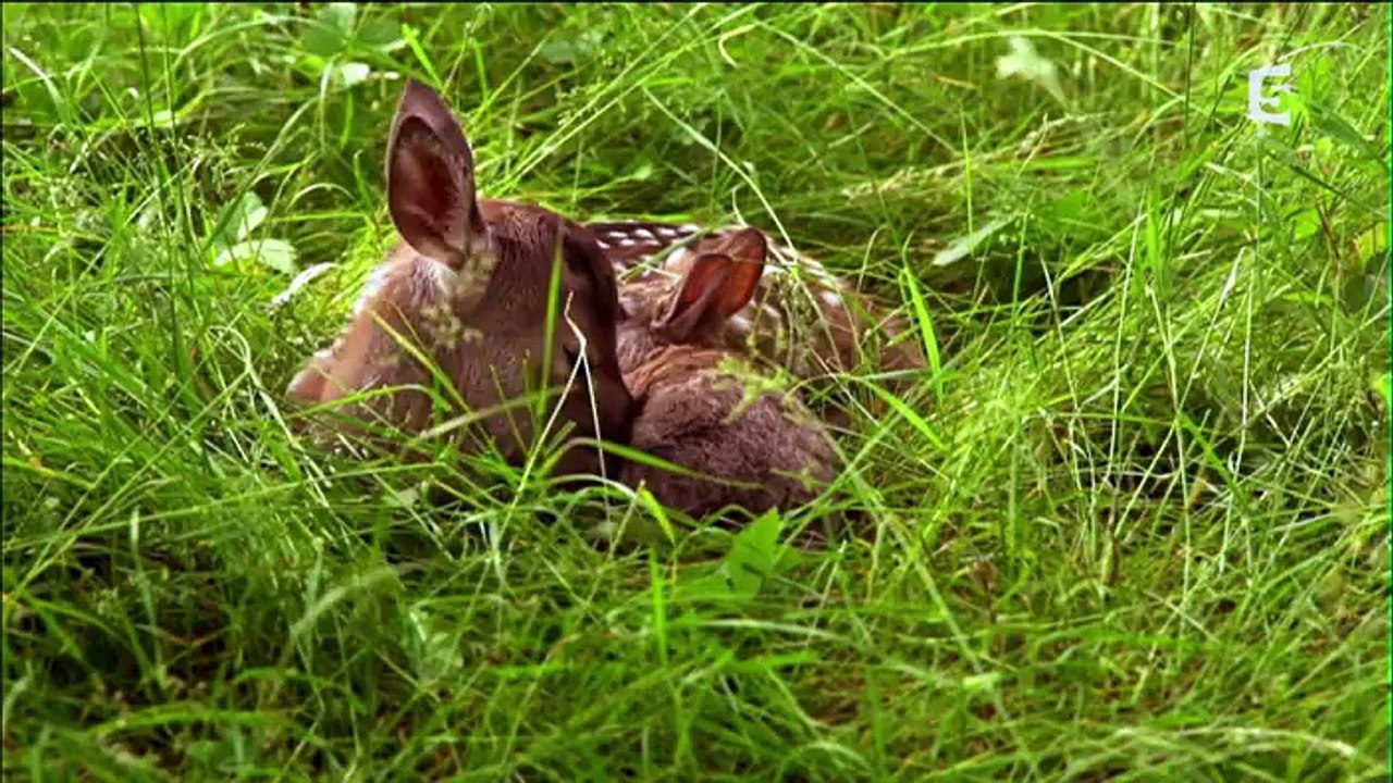 Le plus beau pays du monde, opus 2 - Au nord de la Loire