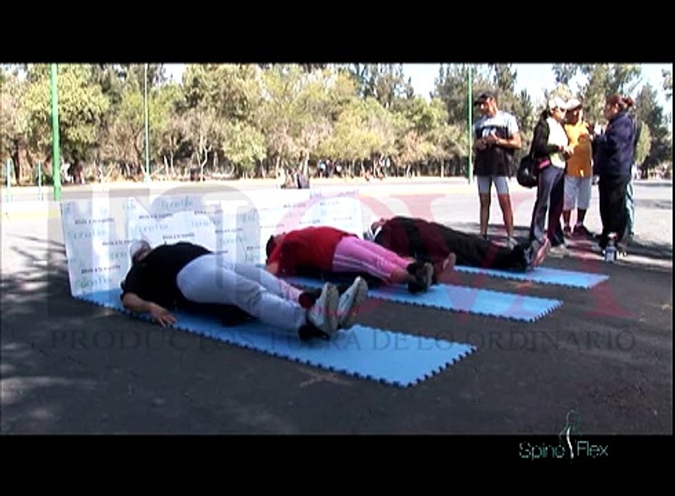 Spine Flex 28:30
