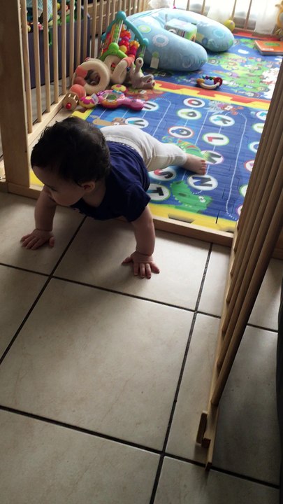 Sarah sort du parc...