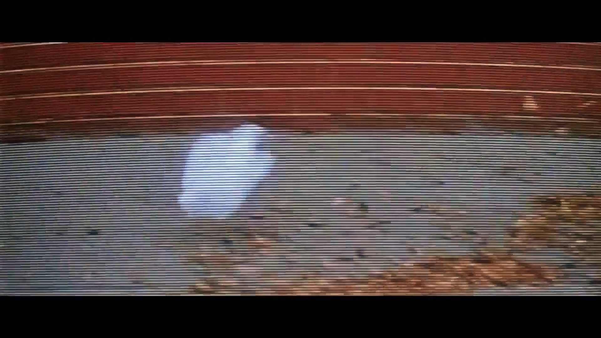 ⁣Красота по-американски (1999) | American Beauty |