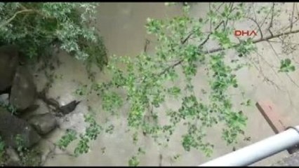 Sinop - Şiddetli Sağanak Heyelan Getirdi