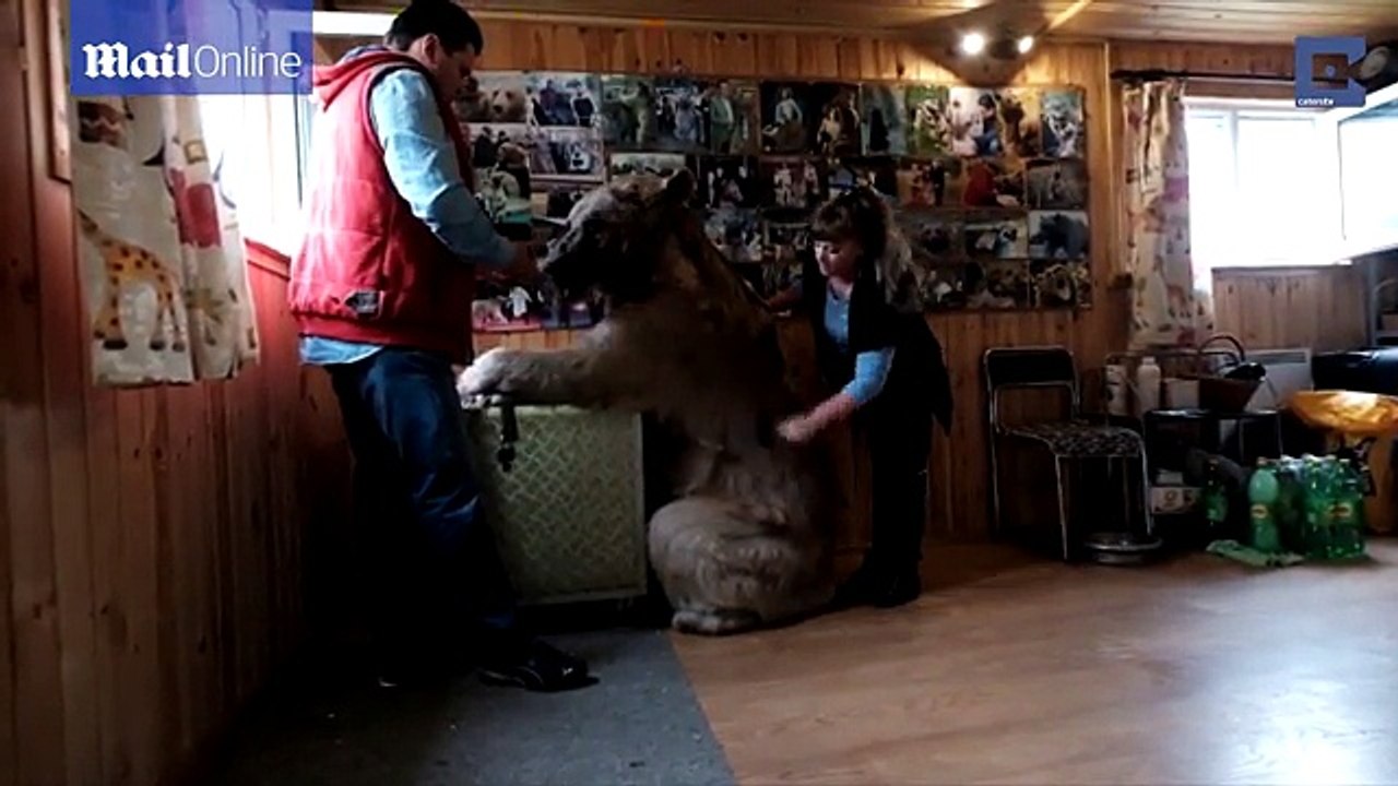 WONDERFUL ! Family allow 7ft pet bear to live with them