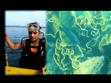 Call of Deep: Scuba Diving in Arabian Sea. (A short film by Jitendra Dixit)