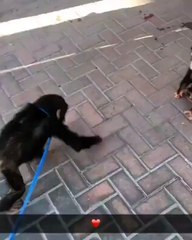 Samantha Lavin w/Dana Lavin