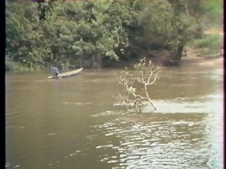 sebe  (fleuve du gabon)