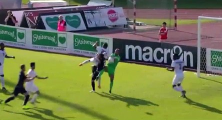 Ermir Lenjani  Goal - Albania 2 - 1 Qatar 29.04.2016