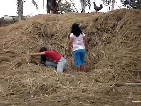 Ha Ha Angry Hen Vs Girls - Funny Whatsapp Video | WhatsApp Video Funny | Funny Fails | Viral Video