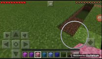 Incredible things in Minecraft 4 glitches Pocket Editon
