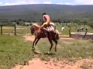 Horse Riding fails/Falls - Funny Whatsapp Video | WhatsApp Video Funny | Funny Fails | Viral Video