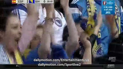 2-1 Emir Spahić Goal HD Spain 2-1 Bosnia