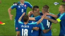 Marek Hamsik Amazing Goal - Germany vs Slovakia 1-2  Friendly Match 29-05-2016  HD