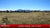 Lots And Land for sale - 0 Gold Rush Way, Chino Valley, AZ 86323