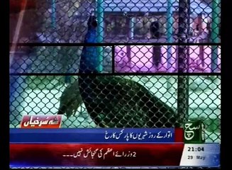 News Bulletin 09pm 29 May 2016 - Such TV