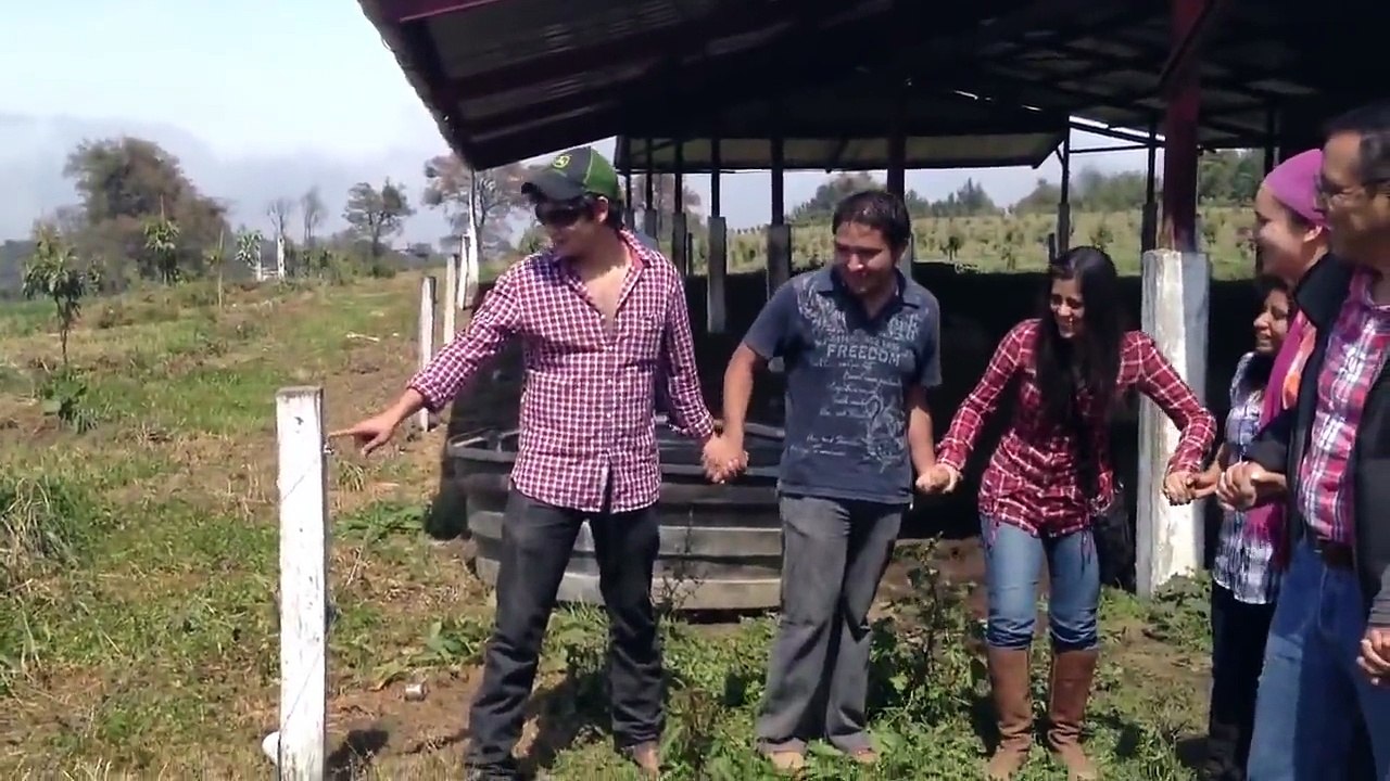 Expérience d'électrocution en chaine humaine