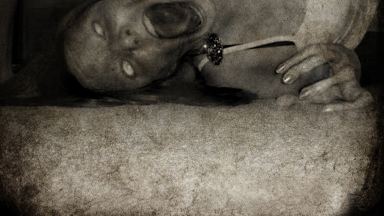 10 Загадочных существа снятые на видео.  Жуткие видео снятые очевидцами.