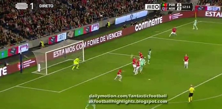 Ricardo Quaresma Goal - Portugal 1-0 Norway - 29.05.2016