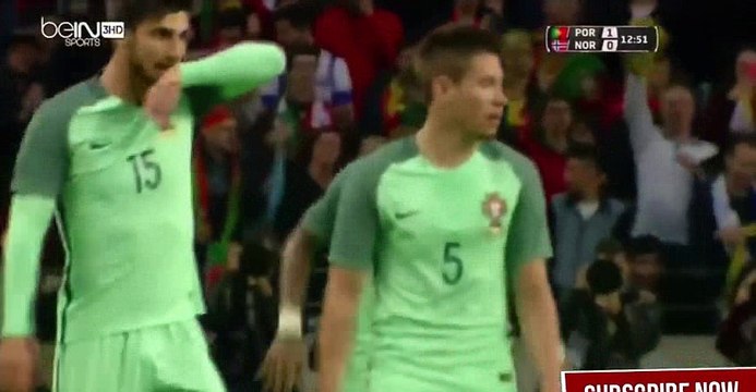 Ricardo Quaresma Goal HD - Portugal 1-0 Norway 29.05.2016