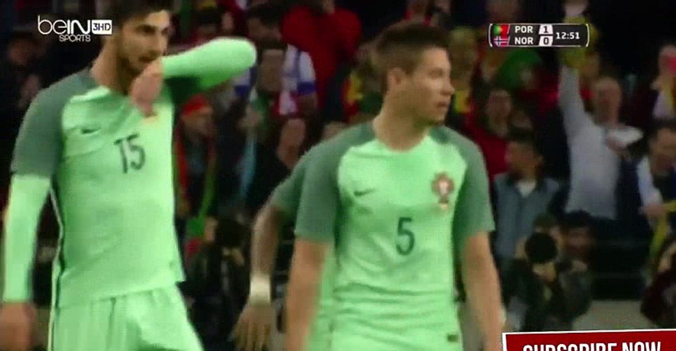 Ricardo Quaresma Goal HD - Portugal 1-0 Norway 29.05.2016