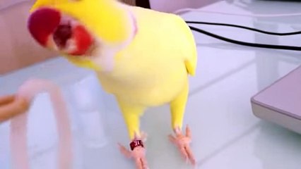 Sharing lunch with Bowie -Dailymotion Video