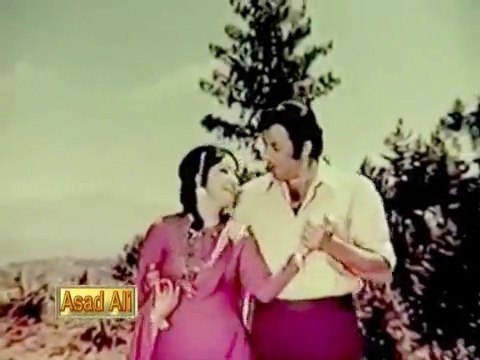 jeevan bhar sath nibhain gaye mehdi hassan & noor jehan Aarzoo