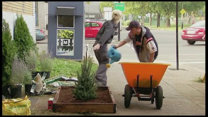 Christmas Tree Becomes MASSIVE- Throwback Thursday