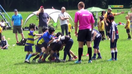 Rugby Petrovice B x rugby Říčany | u8 | 28.5.2016 turnaj Petrovice