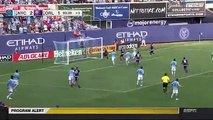 Molino Goal - New York City FC 2-2 Orlando City SC - MLS - 29-05-2016