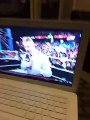 Vince McMahon Responds to CM Punk Chants at WWE Payback 2016