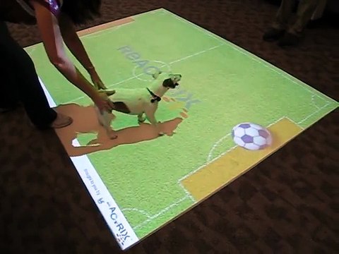 Cute Dog Playing Virtual Soccer