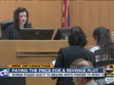 Woman pays the price for revenge plot