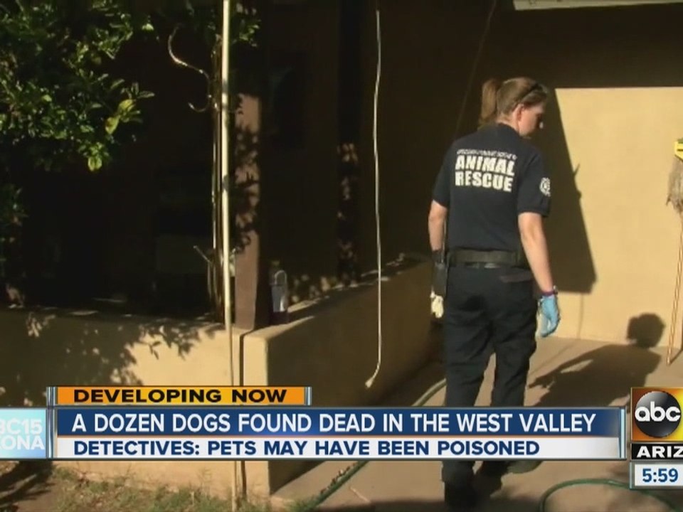 Phoenix police investigating dead pets