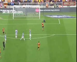 Mohamed Diame Goal in Championship Final Against Sheffield Wednesday
