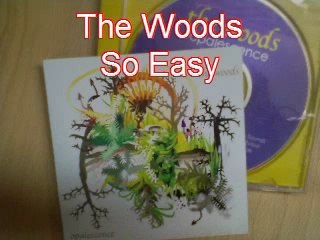 Woods - So easy