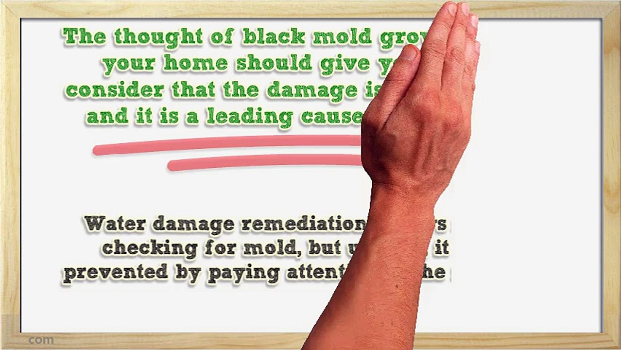 How Serious Is Water Damage In The Home