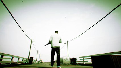 GTA5 FOTO ANIMAL 9 GAIVOTA