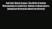 Read Soft Soil Black Grapes: The Birth of Italian Winemaking in California  (Nation of Newcomers: