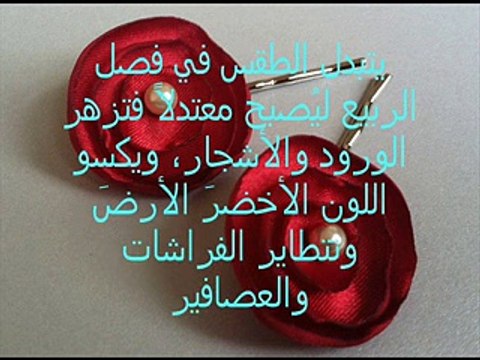 #بنسات- شعر- للعروس- باللون الأحمر- -القناة- خاص -بالنساء- فقط-ممنوع -الذكور- وشكرا- - YouTube