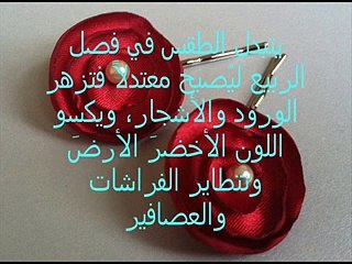 #بنسات- شعر- للعروس- باللون الأحمر- -القناة- خاص -بالنساء- فقط-ممنوع -الذكور- وشكرا- - YouTube